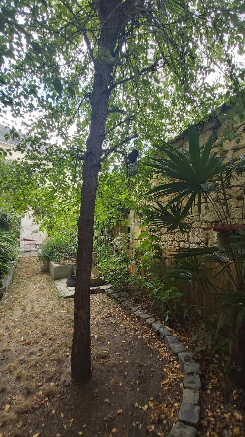 La Maison De Louise Chinon #Chateaux #Vignobles 外观 照片