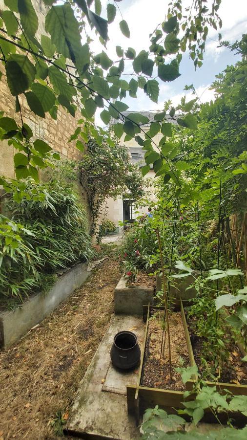 La Maison De Louise Chinon #Chateaux #Vignobles 外观 照片